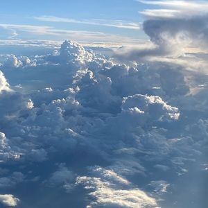 Meet your Posher, Terry